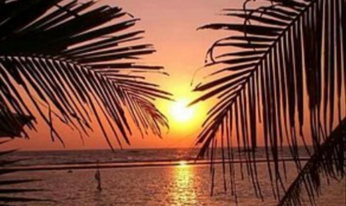 Coral Reef Guest Hotel Beruwala Exterior photo